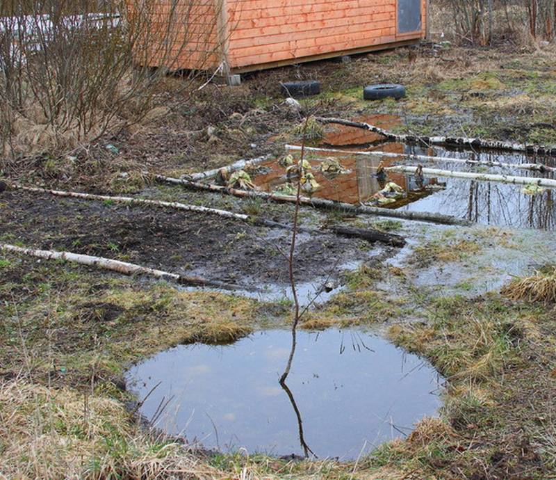 Ремонт септика после затопления в Зеленограде